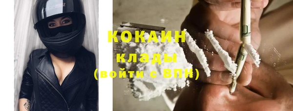 винт Абаза