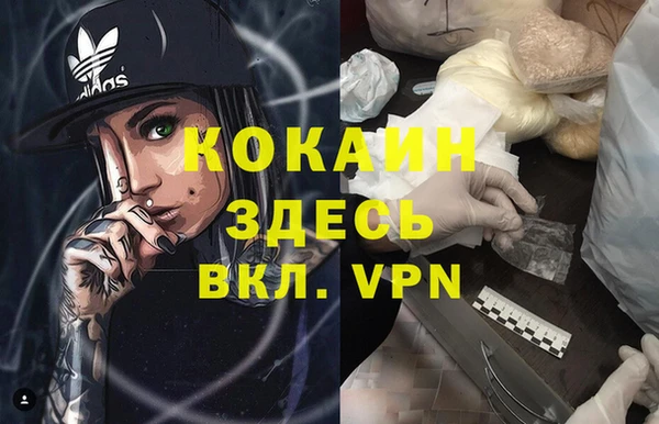 винт Абаза