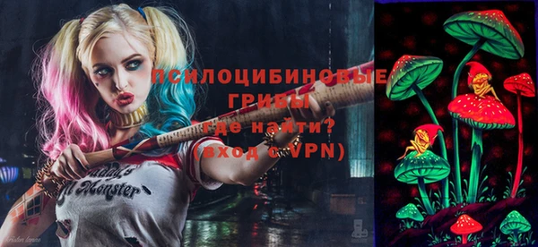 молекула духа Абинск