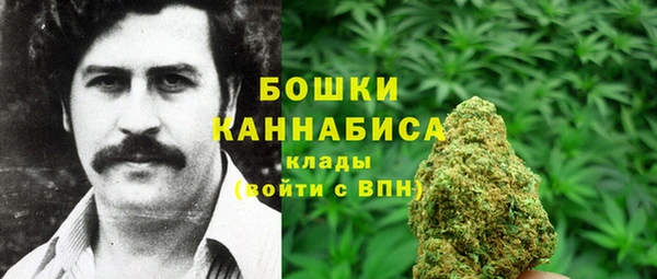 винт Абаза